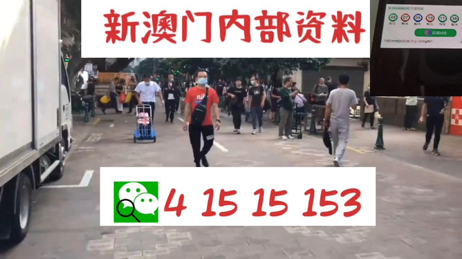 澳門管家婆一馬一中一開，揭秘背后的秘密與策略，澳門管家婆一馬一中一開，揭秘背后的秘密與策略揭秘背后的秘密與策略