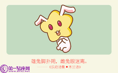 揭秘精準生肖，探尋神奇的數字組合777778與888888背后的生肖秘密，揭秘生肖秘密，數字組合777778與888888背后的生肖傳奇