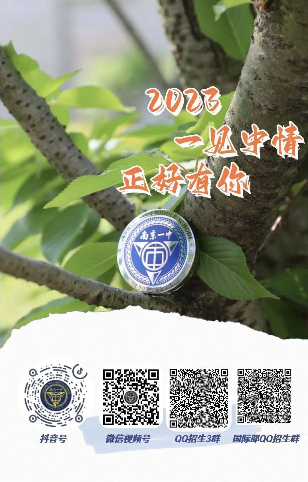 一碼一肖一特一中，揭秘背后的秘密與奧秘，揭秘一碼一肖一特一中背后的秘密奧秘