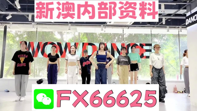 澳門免費資料大全，探索澳門的文化與歷史寶庫，探索澳門文化與歷史寶庫，澳門免費資料大全
