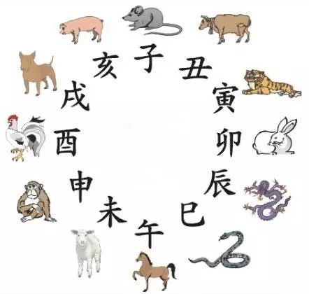 澳門天天彩期期精準(zhǔn)十二生肖預(yù)測(cè)——揭秘彩票秘密，澳門天天彩期期精準(zhǔn)十二生肖預(yù)測(cè)，揭秘彩票秘密之獨(dú)家解析