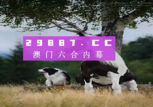 揭秘7777788888精準(zhǔn)新跑狗——全方位解讀與體驗(yàn)，揭秘精準(zhǔn)新跑狗，全方位解讀與體驗(yàn)7777788888跑狗秘籍