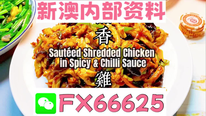 探索未來，揭秘2025年全新免費資料大全新奧精的來源與免費共享趨勢，揭秘未來，2025年全新免費資料的共享趨勢與來源探索