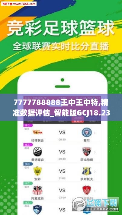王中王493333中特馬特色，探索與解析，王中王493333中特馬特色的探索與解析