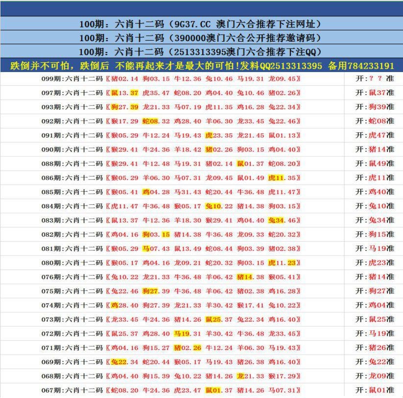澳門無錯(cuò)九肖今日搜狗，探索與解析，澳門無錯(cuò)九肖今日搜狗，深度解析與探索