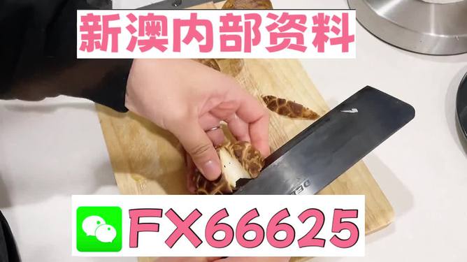澳門九點(diǎn)半9點(diǎn)半網(wǎng)站——探索其魅力與優(yōu)勢(shì)，澳門九點(diǎn)半網(wǎng)站，魅力與優(yōu)勢(shì)探索