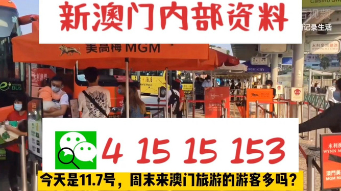 新澳今晚上9點(diǎn)30開(kāi)獎(jiǎng)直播視頻——全方位解讀與體驗(yàn)，新澳今晚9點(diǎn)30開(kāi)獎(jiǎng)直播全方位解讀與體驗(yàn)獨(dú)家呈現(xiàn)