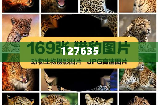 精準(zhǔn)新傳真，揭秘數(shù)字組合7777788888的神秘面紗，揭秘數(shù)字組合7777788888的神秘面紗，精準(zhǔn)新傳真解讀