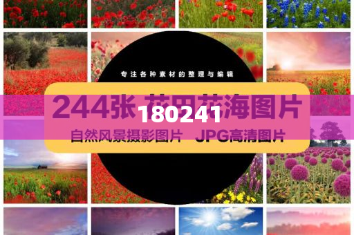 揭秘精準(zhǔn)管家婆狗，77777與88888的神秘面紗，揭秘精準(zhǔn)管家婆狗，神秘數(shù)字77777與88888背后的秘密
