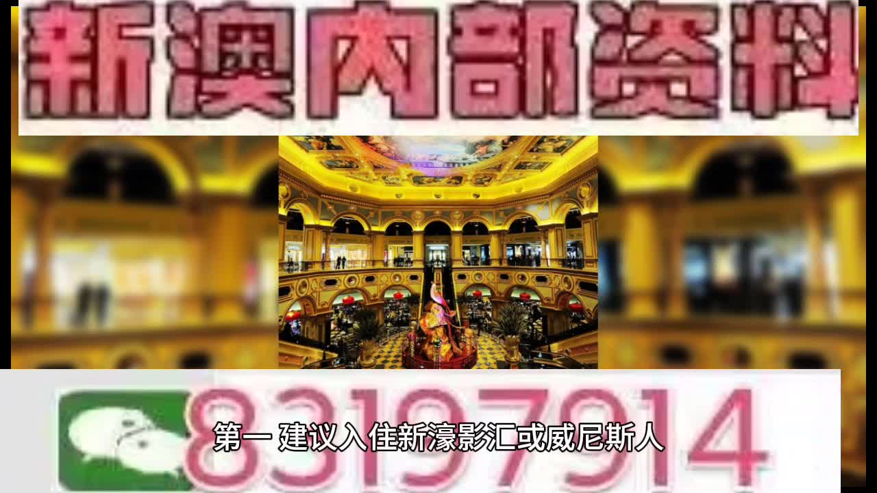 新澳門特馬王，探索與解析，新澳門特馬王，深度探索與解析
