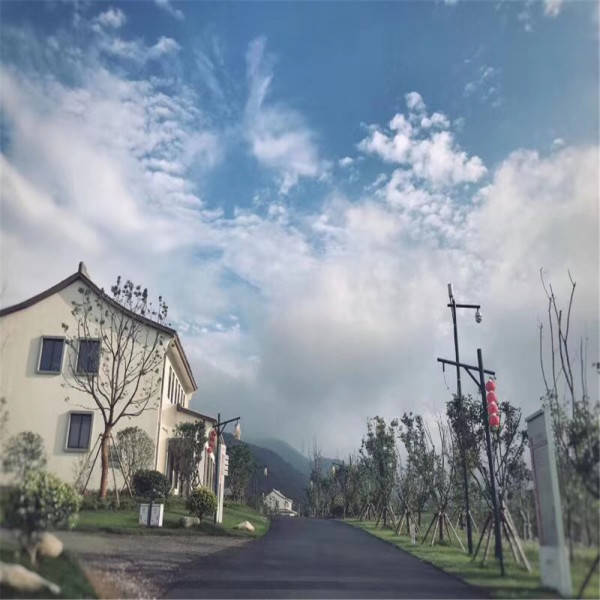 新奧今晚開一肖一特講解詞語，揭秘生肖與特肖的獨特魅力，揭秘生肖與特肖的獨特魅力，新奧今晚一開一特講解詞語