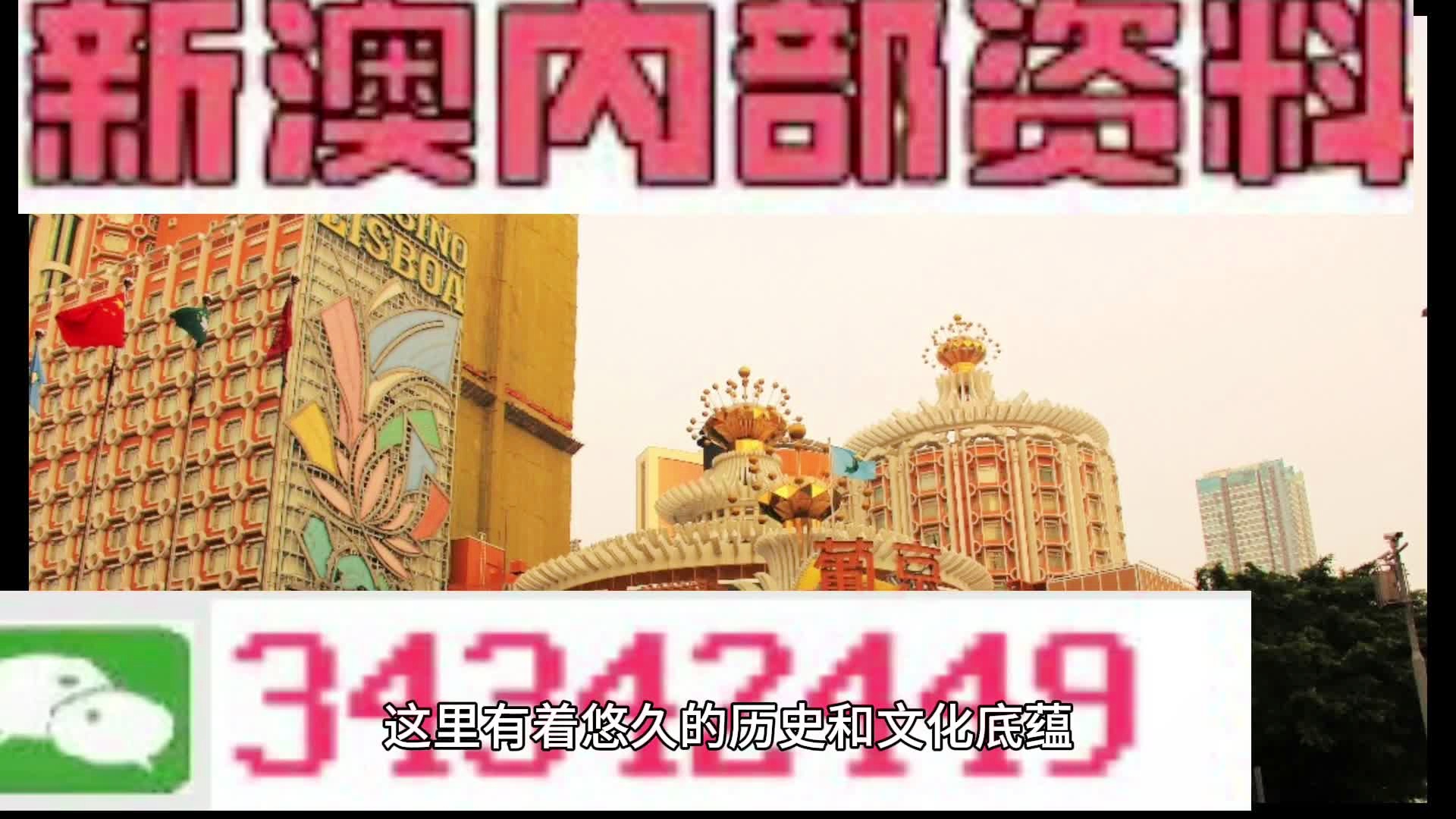 新門內(nèi)部資料大全免費(fèi)查詢——探索未知領(lǐng)域，獲取寶貴資源，新門內(nèi)部資料免費(fèi)探索，揭秘未知領(lǐng)域，獲取寶貴資源大全