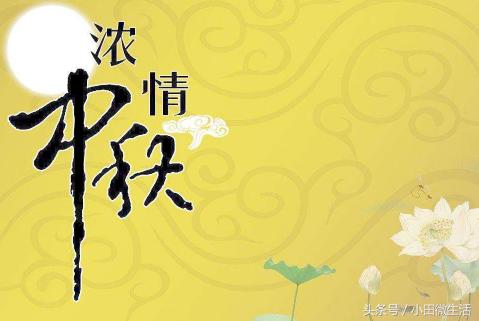 天天開好彩免費(fèi)資料大全——你不可錯(cuò)過的幸運(yùn)之門，天天開好彩免費(fèi)資料大全——開啟幸運(yùn)之門的必備指南