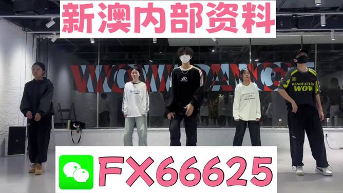 探索未來，2025新澳最新版精準(zhǔn)特色解析，探索未來，揭秘新澳最新版精準(zhǔn)特色解析（2025版）