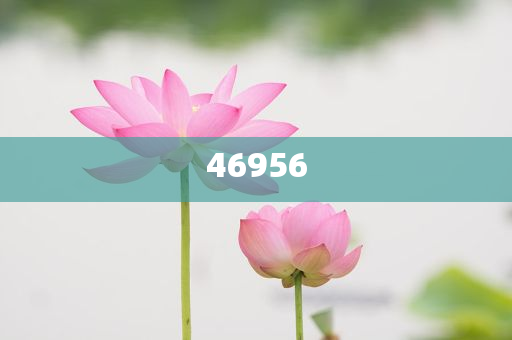 新奧集團(tuán)，邁向2025，天天開好彩的愿景與挑戰(zhàn)，新奧集團(tuán)邁向2025，實現(xiàn)天天開好彩的愿景與挑戰(zhàn)