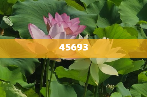 全新升級，7777888888精準(zhǔn)新管家，全新升級管家，精準(zhǔn)管理，一站式服務(wù) 7777888888新管家重磅來襲