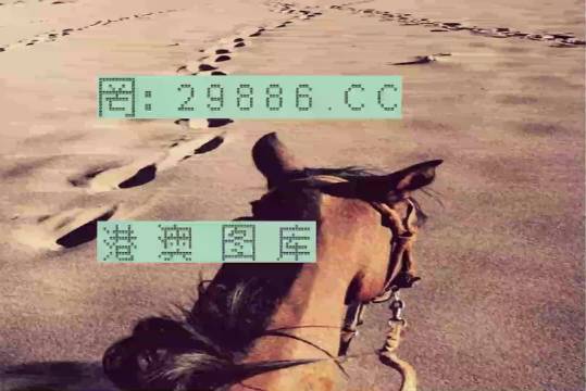 香港特馬資料王中王，揭秘背后的秘密，揭秘香港特馬資料王中王的背后秘密