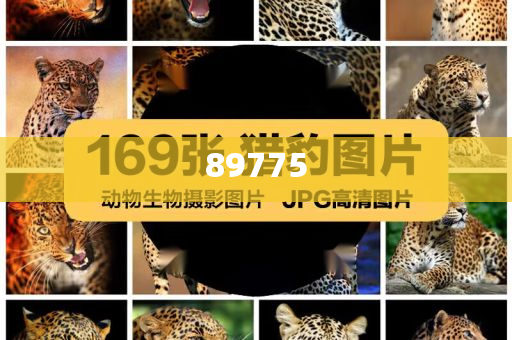 關(guān)于新奧歷史開獎(jiǎng)記錄的最新信息，今天公布了嗎？，新奧歷史開獎(jiǎng)記錄最新信息公布了嗎？