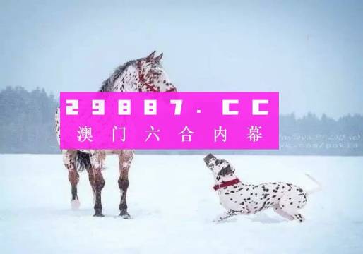 澳門一肖一碼狀元紅，揭秘彩票背后的秘密與策略，澳門彩票揭秘，狀元紅背后的秘密與策略解析