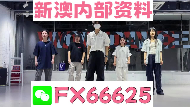 新澳天天開(kāi)獎(jiǎng)資料大全最新版本，全面解析與SEO優(yōu)化策略，新澳天天開(kāi)獎(jiǎng)資料大全最新版解析與SEO優(yōu)化策略指南