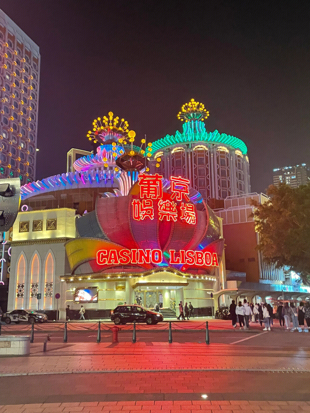 澳門今晚必開一肖一特芳草地，探索生肖與運(yùn)勢的神秘面紗，澳門生肖運(yùn)勢揭秘，探索今晚必開一肖一特芳草地神秘面紗的運(yùn)勢之旅