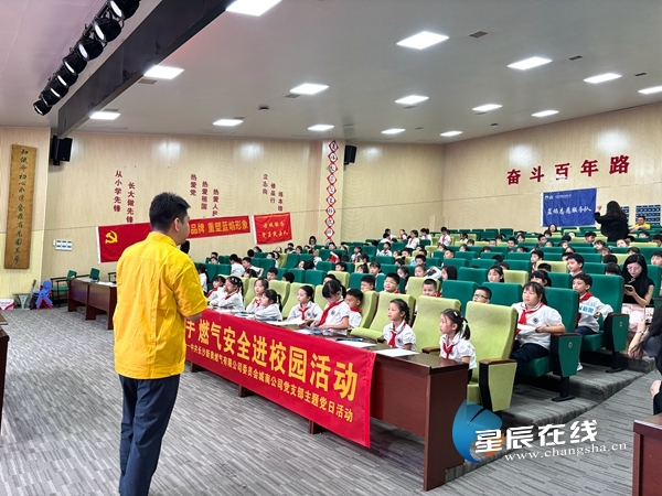 新奧49正版資料，探索與解析，新奧49正版資料深度探索與解析