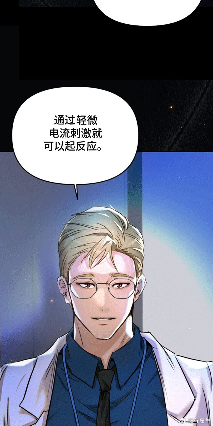 夜間診療室韓漫免費(fèi)，探索醫(yī)療與娛樂的新領(lǐng)域，夜間診療室韓漫免費(fèi)，醫(yī)療與娛樂的新領(lǐng)域探索