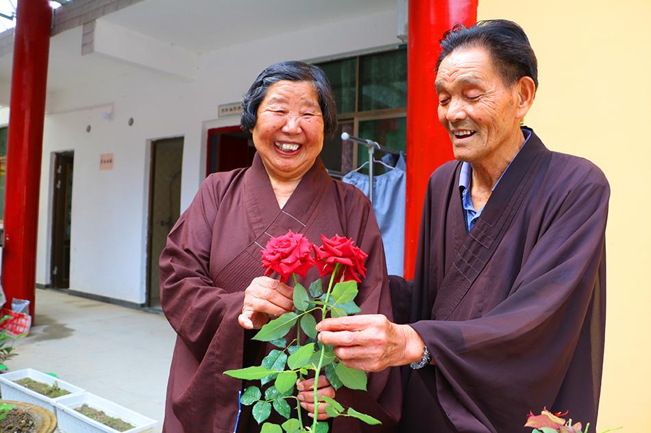 揭秘最準(zhǔn)一碼一肖，揭秘背后的秘密與真相，鳳凰網(wǎng)獨(dú)家報(bào)道，獨(dú)家揭秘，最準(zhǔn)一碼一肖背后的秘密真相（鳳凰網(wǎng)報(bào)道）