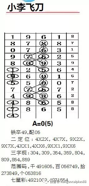 新澳平碼出碼公式，揭秘背后的秘密與策略，揭秘新澳平碼出碼公式，背后的秘密與策略解析