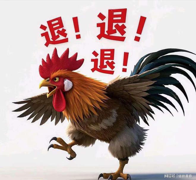 財(cái)經(jīng) 第11頁(yè)