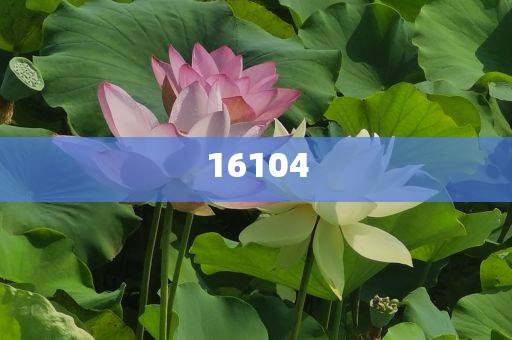 新奧600圖庫2025，探索與前瞻，新奧600圖庫2025，深度探索與未來展望