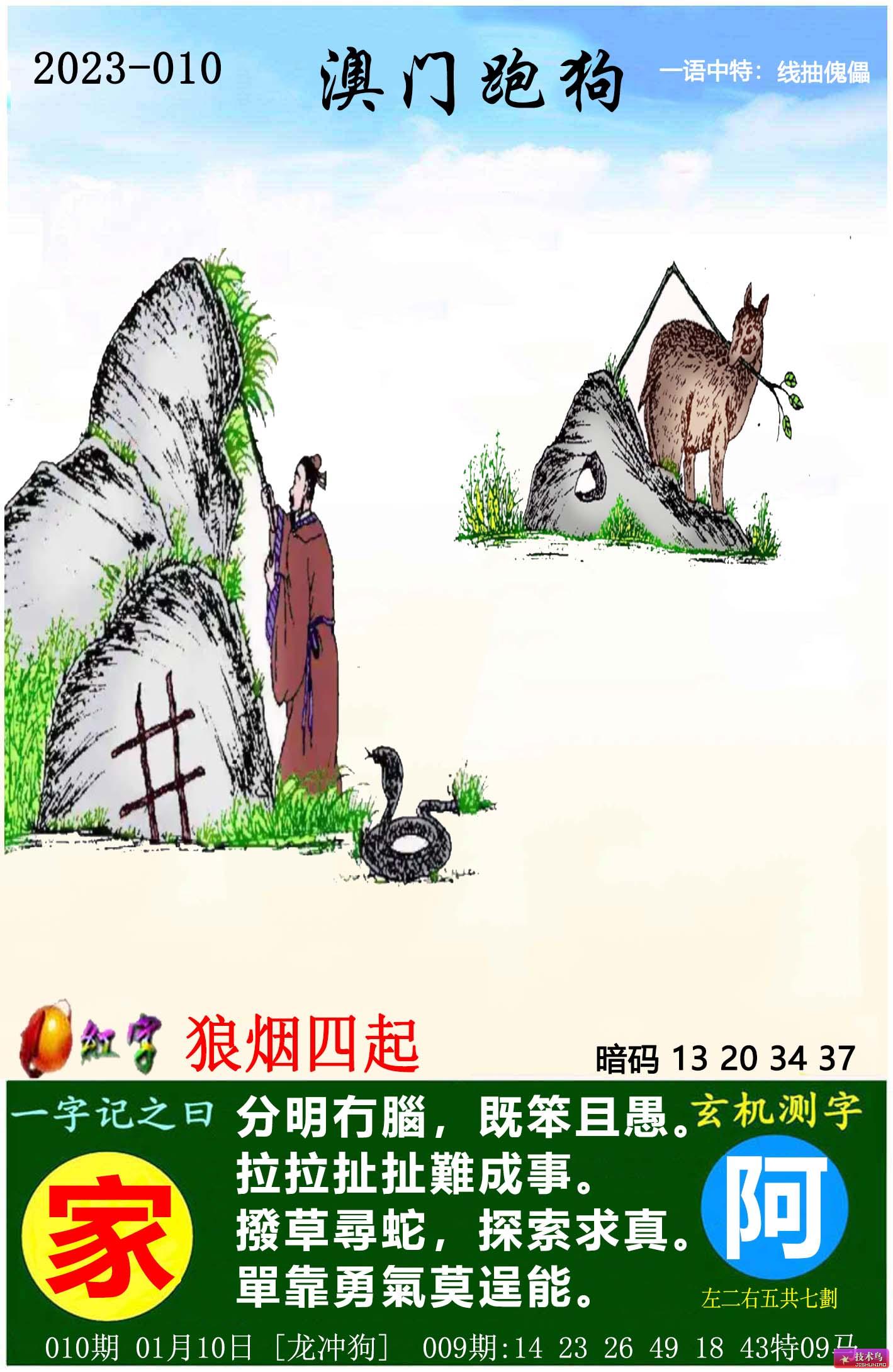 最新更新內(nèi)容，探索7777788888跑狗圖的奧秘，揭秘跑狗圖奧秘，最新更新探索7777788888的神秘面紗
