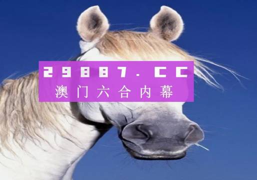 澳門今晚一肖一碼，探索與預(yù)測，澳門今晚一肖一碼，探索幸運(yùn)與預(yù)測之謎