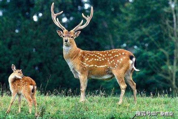 最新版本的6566cc澳彩資料大全介紹與特色功能解析，圖庫升級亮點一覽，最新6566cc澳彩資料大全介紹與特色功能解析，圖庫升級亮點全揭秘