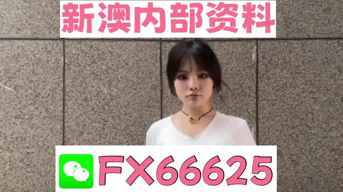 澳門資料大全正版資料查詢，探索澳門的文化與歷史深度之旅，澳門文化與歷史深度探索，正版資料大全及查詢指南