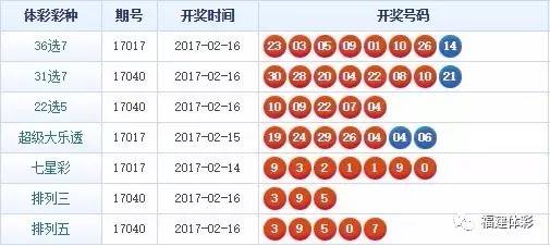 揭秘446999一肖中特馬，規(guī)律與策略解析，揭秘446999一肖中特馬規(guī)律與策略解析指南