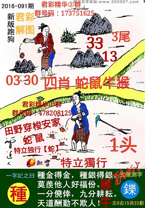 揭秘7777788888精準(zhǔn)新跑狗圖，全方位解讀其背后的秘密，揭秘新跑狗圖7777788888，全方位解讀背后的真相與秘密