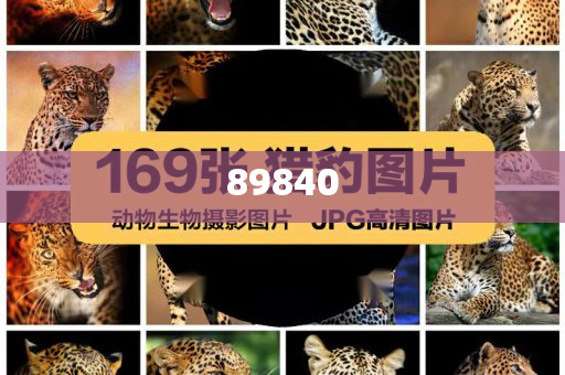 揭秘新奧集團(tuán)，展望未來的最新資料，探尋五不中的奧秘，新奧集團(tuán)未來展望，探尋五不中的奧秘與揭秘最新發(fā)展資料