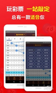 揭秘2019王中王一肖，成功背后的故事與秘密，揭秘王中王一肖的成功之路，背后的故事與秘密