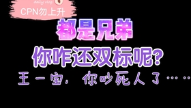 一肖二肖是什么意思——深度解析中國民俗中的生肖文化，深度解析中國民俗中的生肖文化，一肖二肖的含義與故事