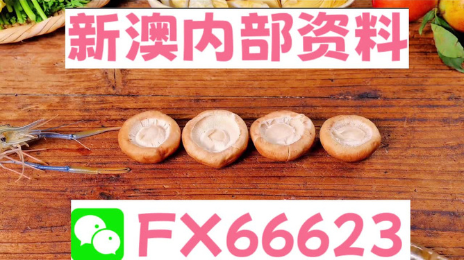 新澳正版資料免費(fèi)提供，全面解析與深度探索，新澳正版資料全面解析與深度探索，免費(fèi)提供的指南
