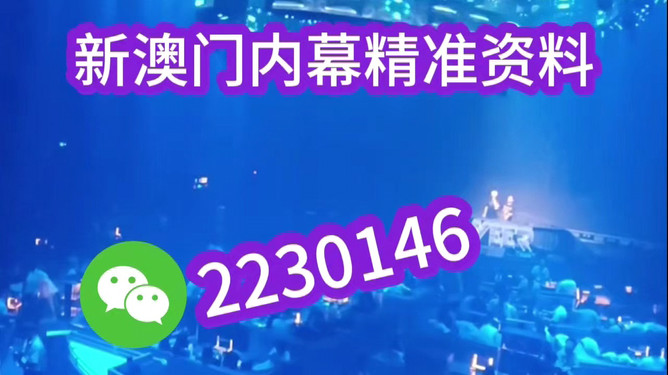 新澳2025今晚開獎資料詳解，新澳2025今晚開獎資料全面解析