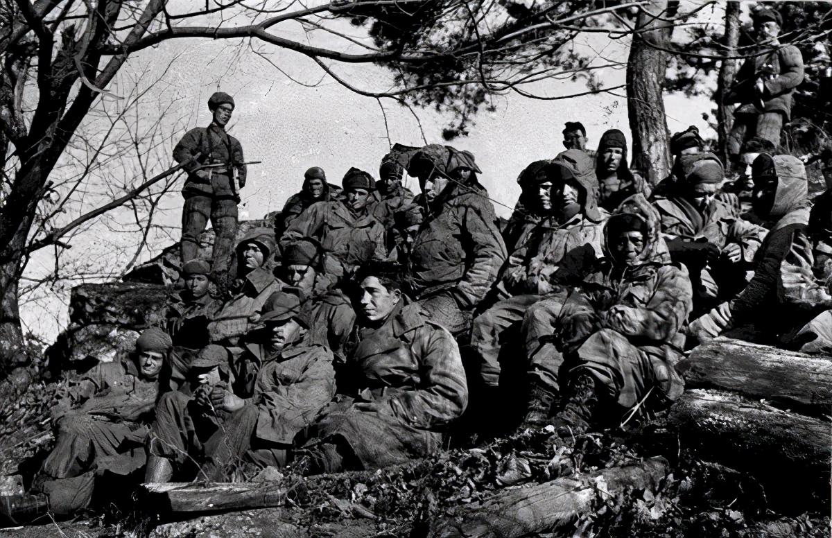 王中王119期指一生肖，深度解析與預(yù)測(cè)，王中王119期生肖深度解析與預(yù)測(cè)，揭秘未來走向