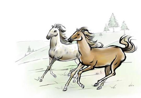 今期必劉伯溫打一生肖——探尋生肖奧秘與傳奇人物劉伯溫的關聯(lián)，劉伯溫與生肖奧秘，探尋傳奇人物與生肖的關聯(lián)