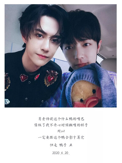 王中王一肖中特一肖精準預(yù)測——揭秘生肖運勢與未來展望，揭秘生肖運勢預(yù)測，王中王一肖精準預(yù)測未來展望