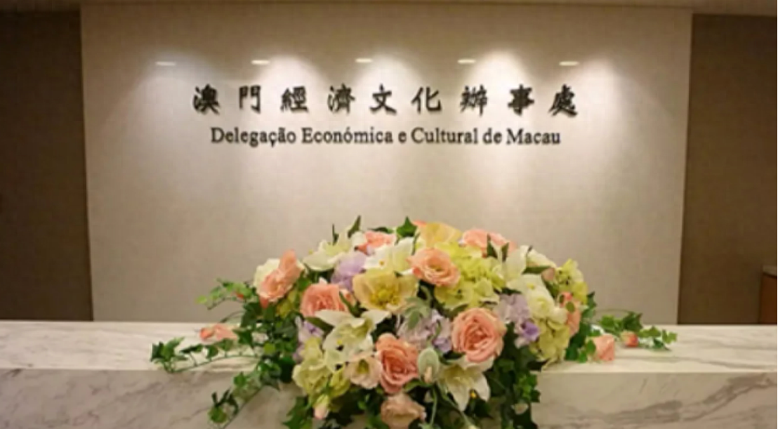 澳門一碼一肖一待一中四不像——揭開神秘面紗下的真相，澳門神秘事件揭秘，一碼一肖一待一中四不像真相探索