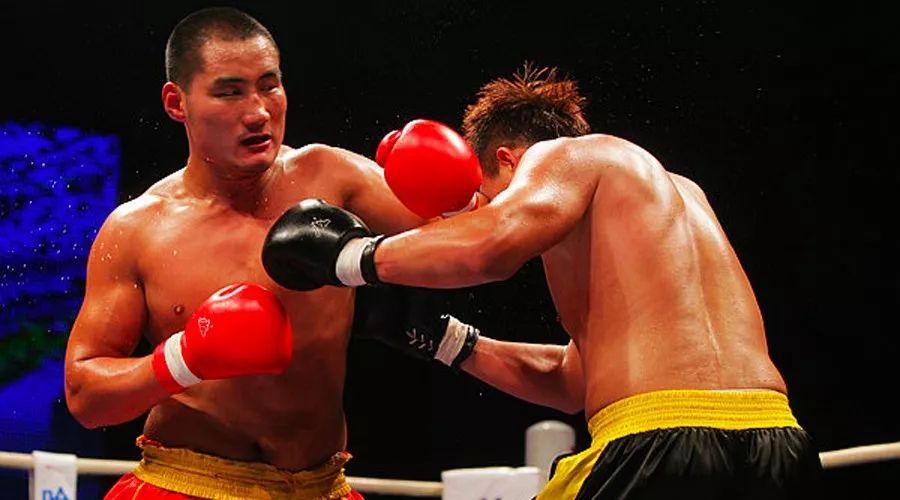 王中王85期指一生肖——深度解析與預(yù)測，王中王85期生肖深度解析與預(yù)測