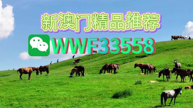 揭秘精準(zhǔn)預(yù)測一肖的秘密，解碼77777與88888的神秘?cái)?shù)字組合，揭秘精準(zhǔn)預(yù)測生肖的秘密，數(shù)字組合77777與88888的神秘解碼