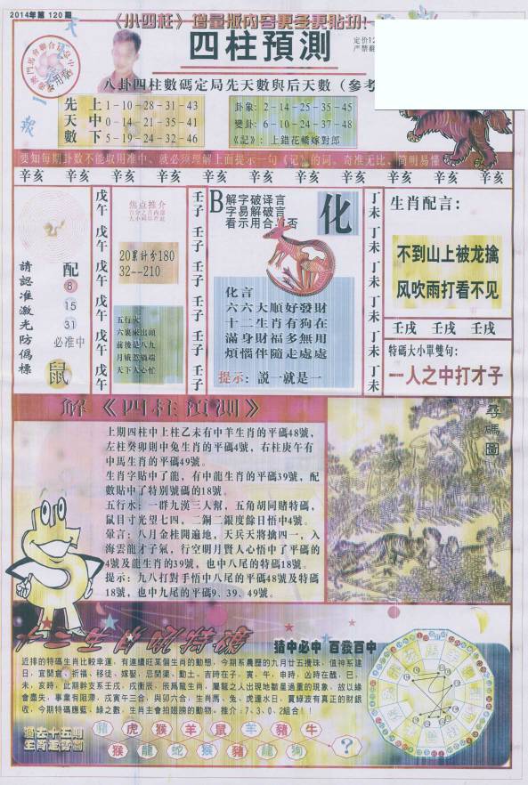 香港王中王找圖看生一肖，揭秘背后的奧秘，揭秘香港王中王找圖看生肖的奧秘