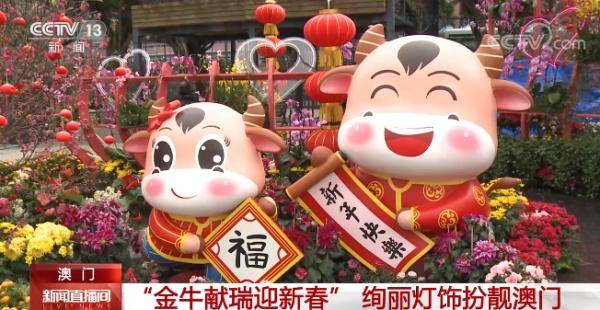 澳門金牛網(wǎng)金牛版論壇——探索與解析，澳門金牛網(wǎng)金牛版論壇，深度探索與解析